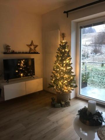 Trio Krkonose * Horni Marsov