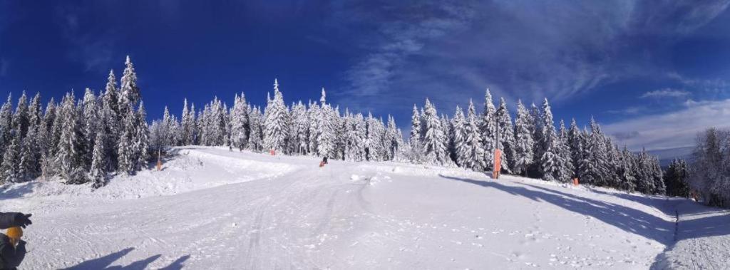 Trio Krkonose